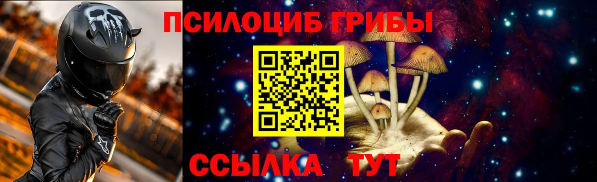 Галлюциногенные грибы Cubensis Лесозаводск